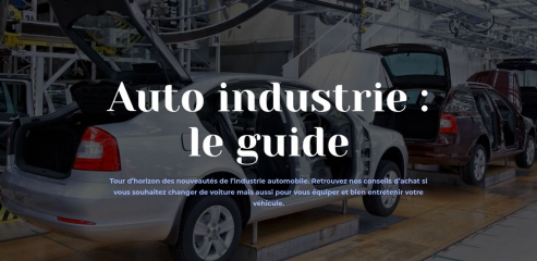 https://www.piece-auto-industrie.fr
